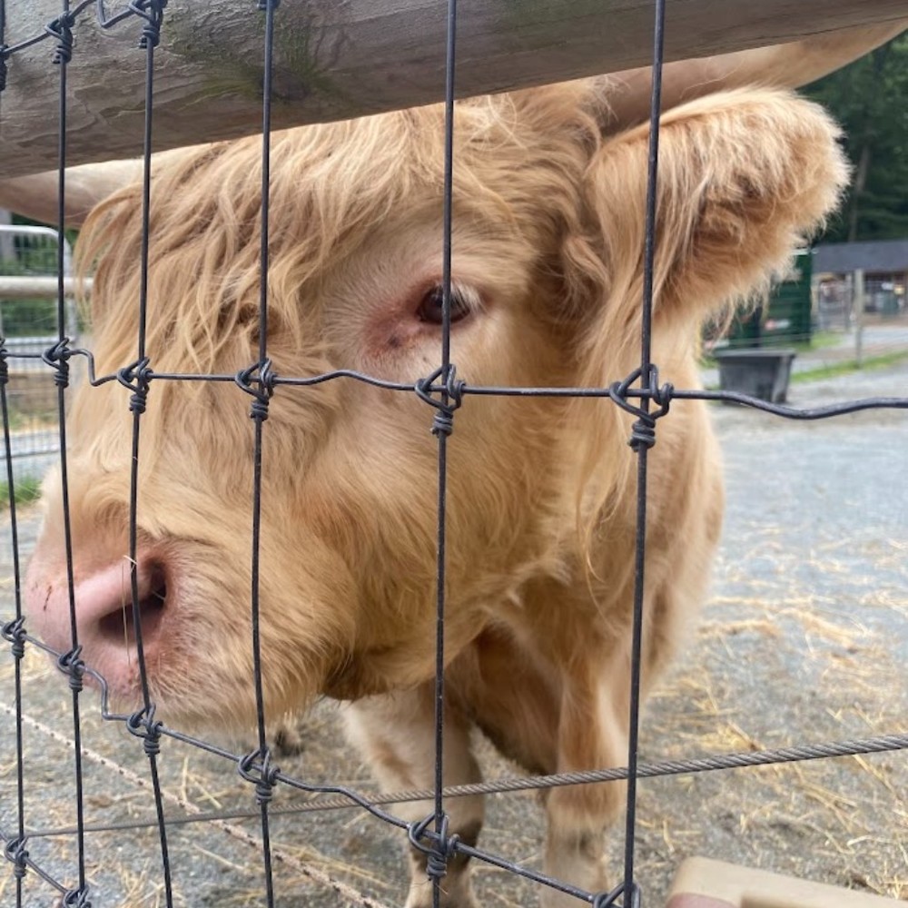 Meet your Posher, Babs